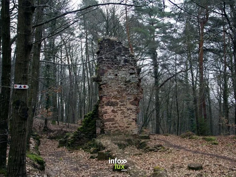Ruine de la Frauenkirch à Offwiller : histoire, visite et infos pratiques