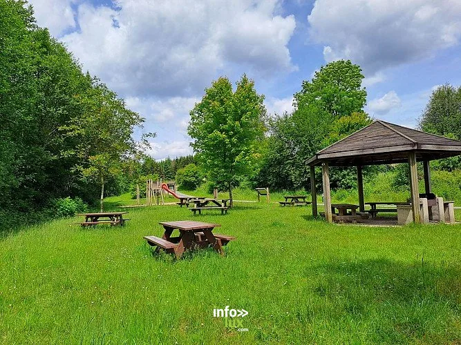 Randonnées à Tintigny : 7 balades en Gaume, nature et mémoire