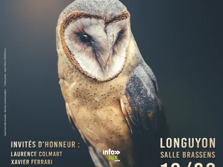Longuyon > Exposition > Salon de la photographie “Mille et un regards”
