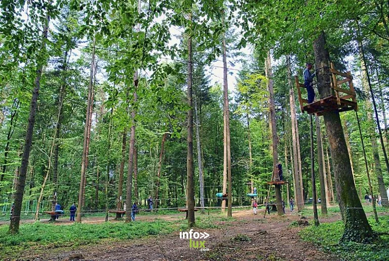 Sensation Nature
