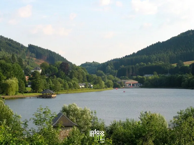 La Nature en Questions à Vielsalm : randonnée de 7 km