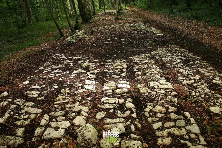 Site du mausolée gallo-romain de Faverolles
