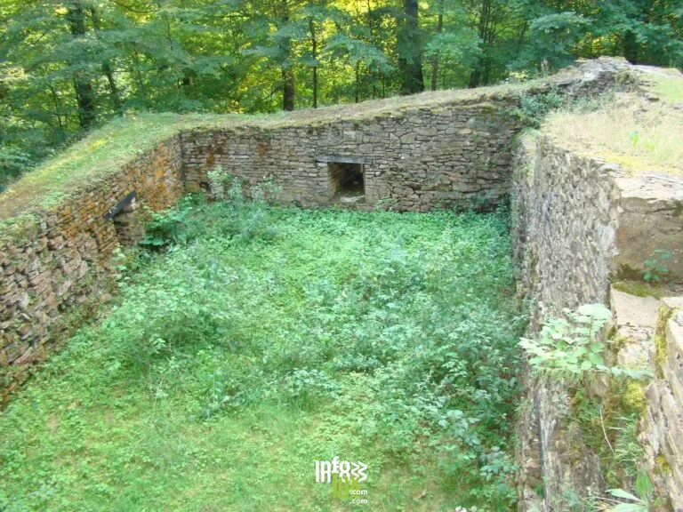 Le site archéologique de Montauban à Étalle : randonnée de 6 km