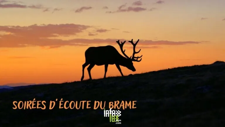Soirée à l'écoute du brame du cerf 2026