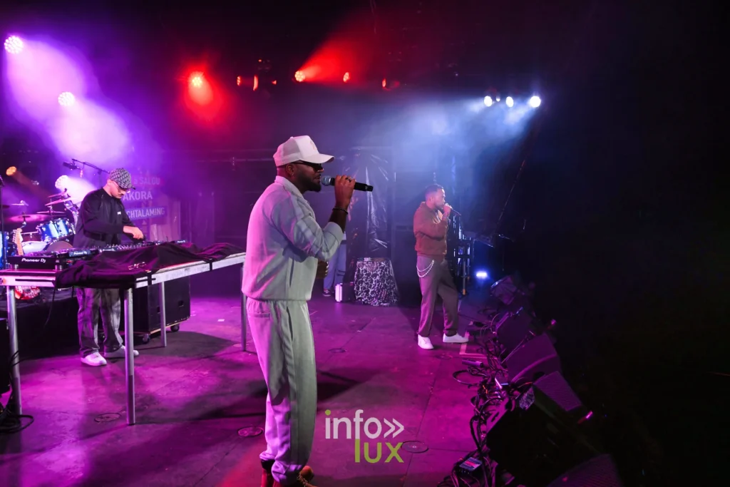 Tragédie en concert au Summer Lake Festival 2026 à Neufchâteau