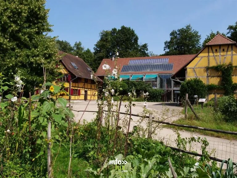Maison de la nature du Sundgau à Altenach
