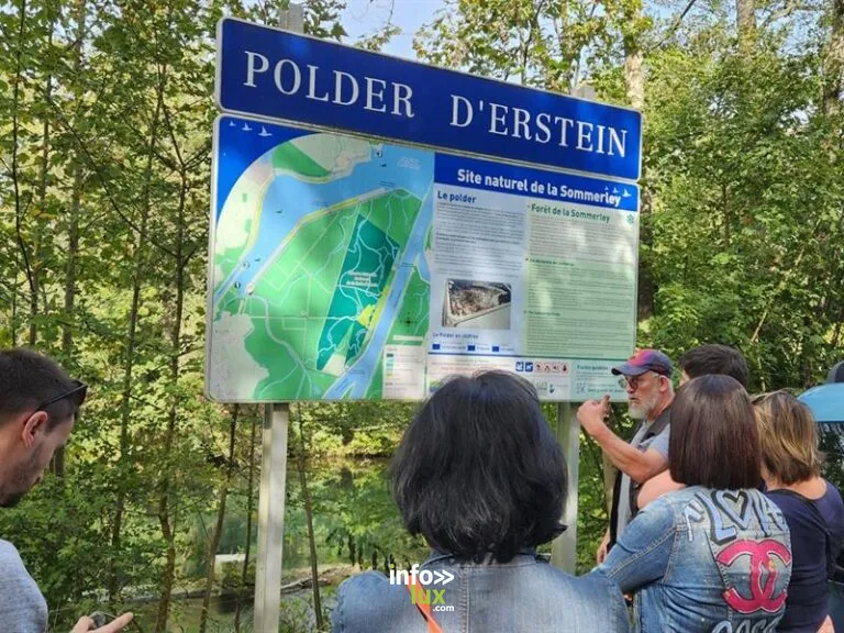 Polder à Erstein