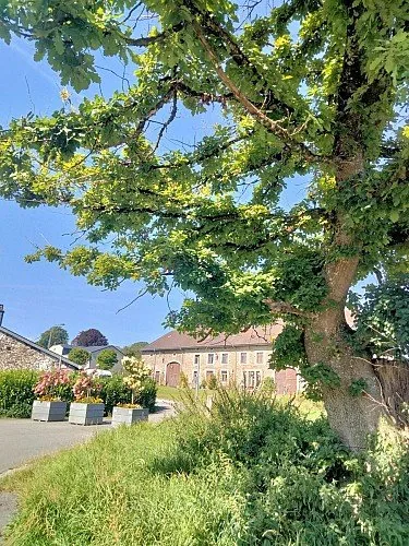 La Vierge de Waillimont à Herbeumont : randonnée de 6 km (Gribomont)