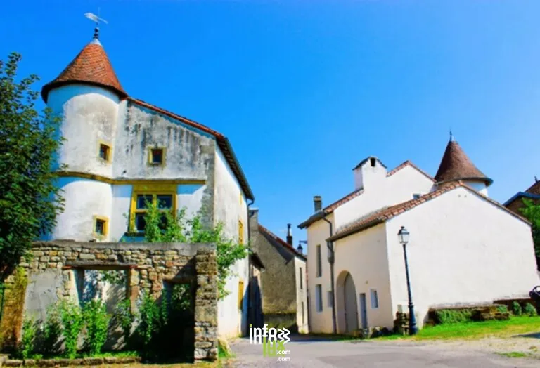 Châtillon-sur-Saône > Patrimoine > Visite guidée de Châtillon-sur-Saône