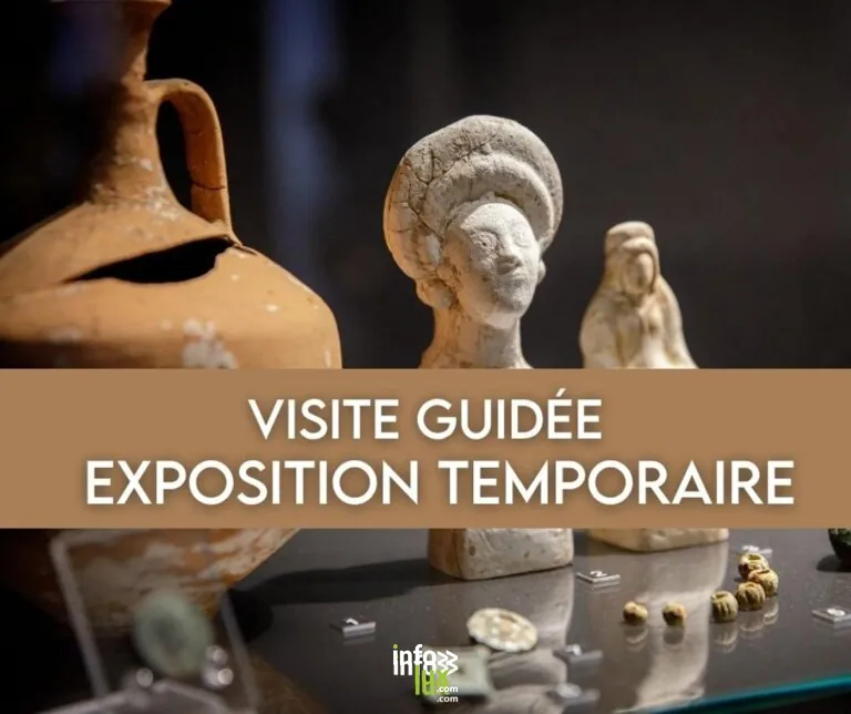 Visite guidée — exposition temporaire « Sur les pas de Mercure [...] » 2026