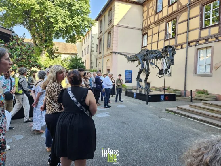 Colmar > Patrimoine > Voyage au cœur des mondes naturels et culturels