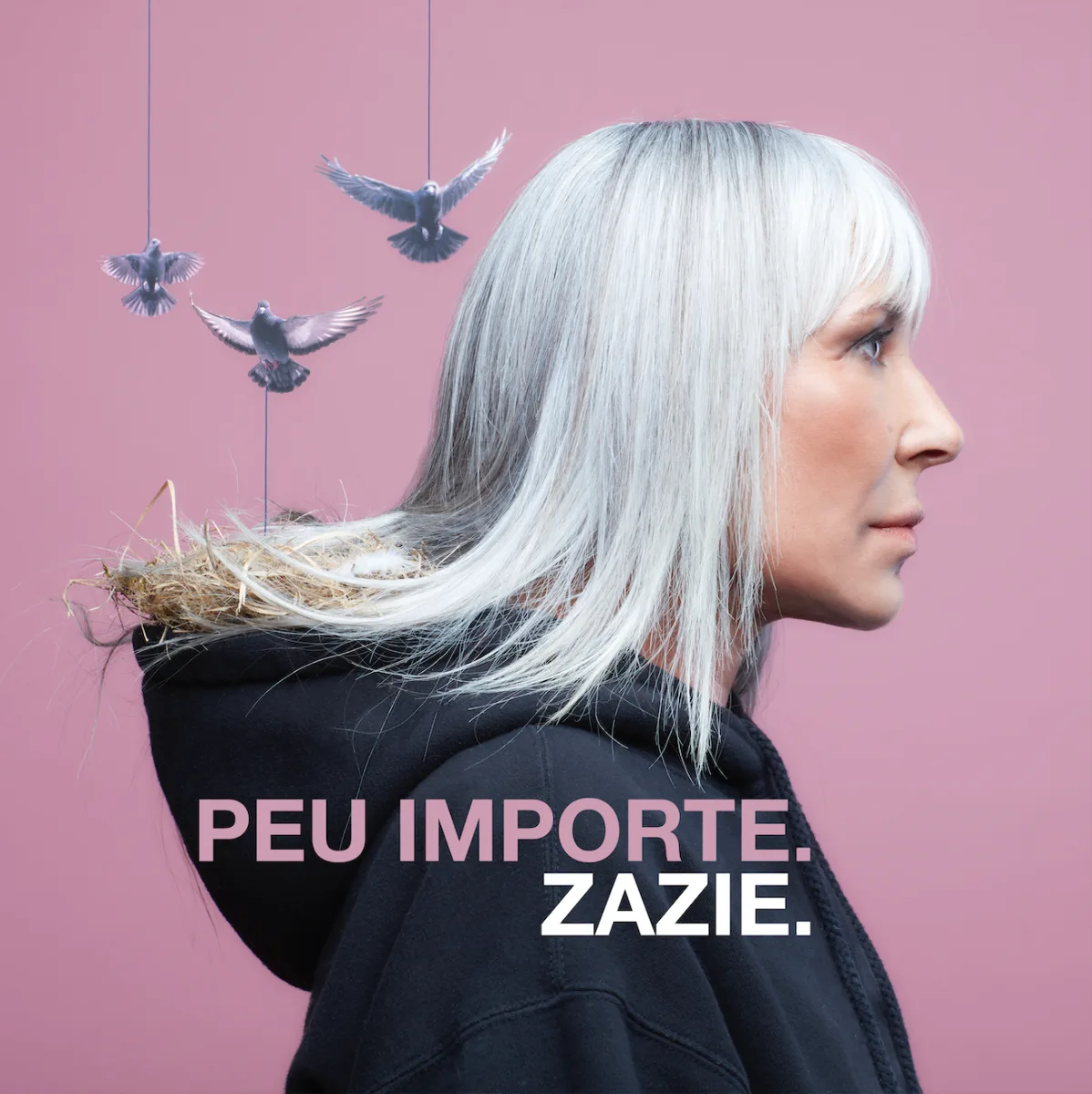 Pochette du single « Peu importe » de Zazie : profil sur fond rose, nid et colombes suspendues