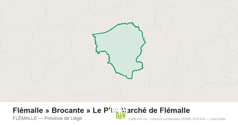 Carte de localisation : FLÉMALLE (Province de Liège)