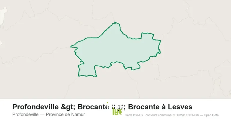Profondeville > Brocante > Brocante à Lesves