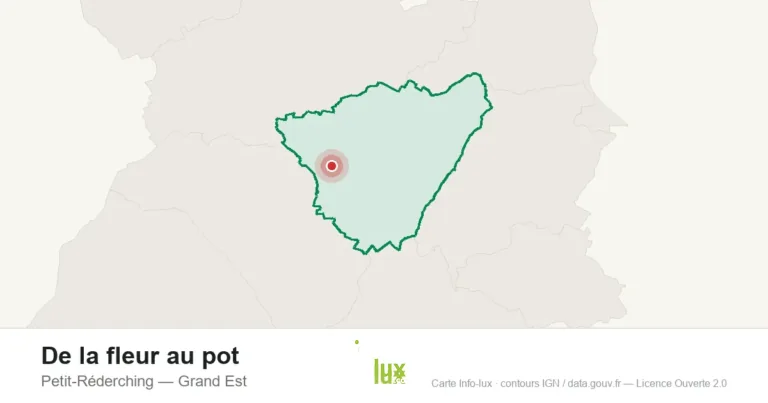 Carte de localisation : De la fleur au pot à Petit-Réderching