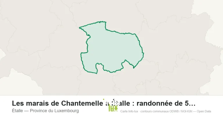 Les marais de Chantemelle à Étalle : randonnée de 5,7 km