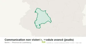 Communication non violente, module avancé (jeudis)