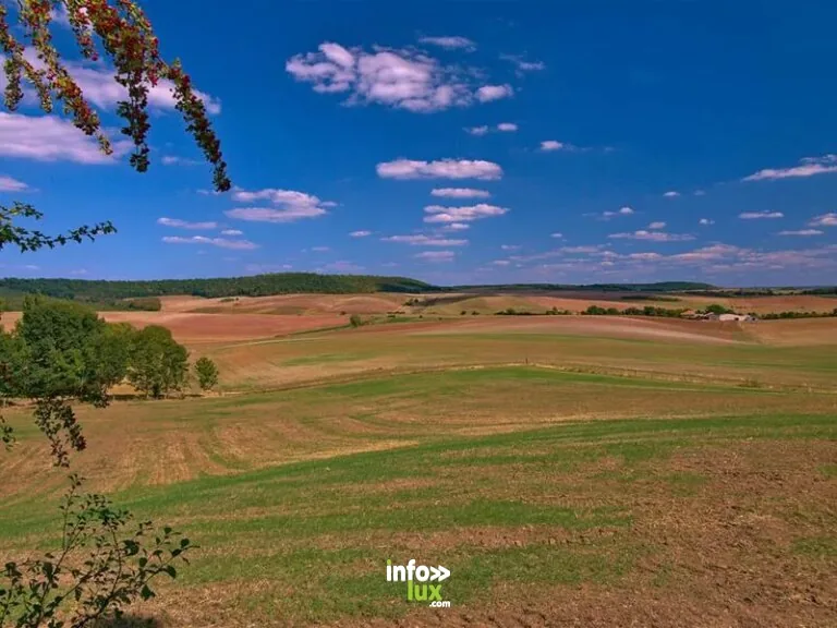 À VTT et à cheval autour de Marsal à Marsal : itinéraire vélo