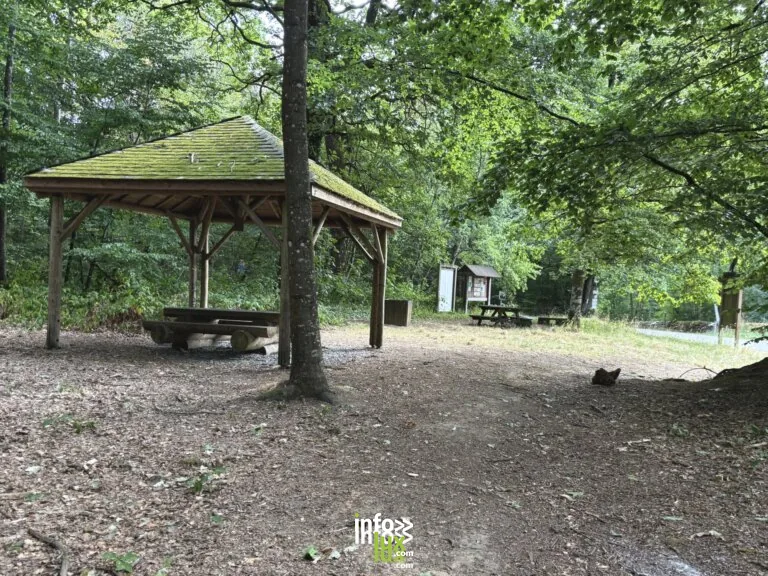 Une aire de pique-nique couverte en forêt, rue des Carrosses à Habay-la-Neuve