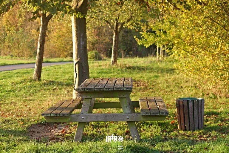 Aire de Pique-Nique du parc communal à Hotton