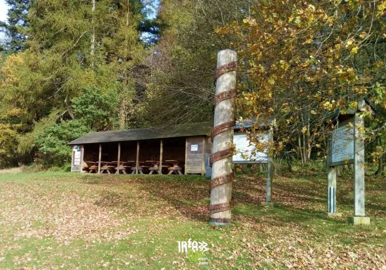 Aire de pique-nique Ennal à Vielsalm : aire de pique-nique couverte
