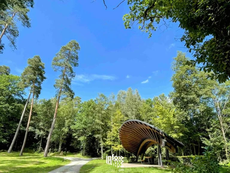 Aires de pique-nique du Domaine Provincial de Mirwart à Saint-Hubert : aire de pique-nique