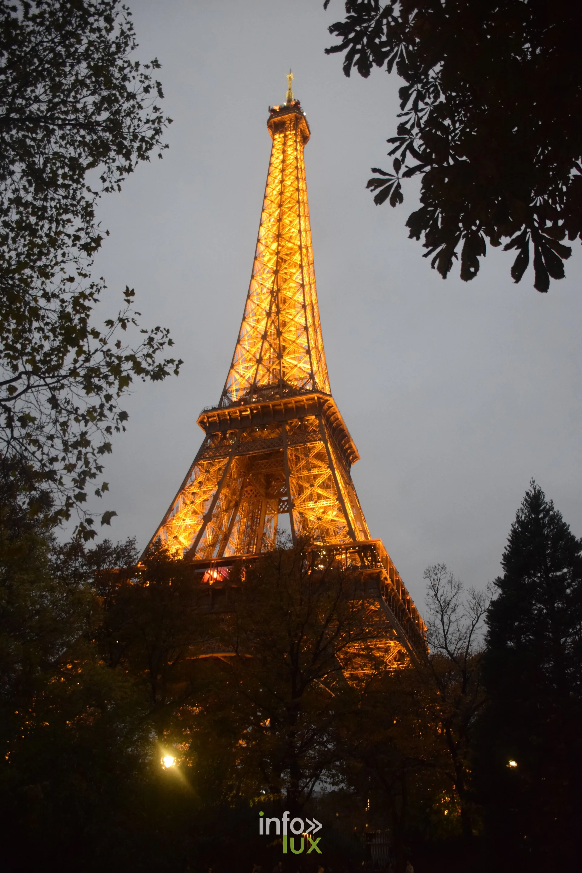 Tour Eiffel illuminee au crepuscule entre les arbres