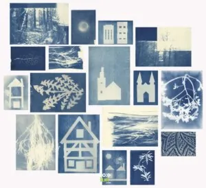 Atelier famille : “Cyanotype” — Strasbourg Atelier famille : “Cyanotype” — Strasbourg