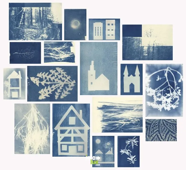 Atelier famille : “Cyanotype” à Strasbourg