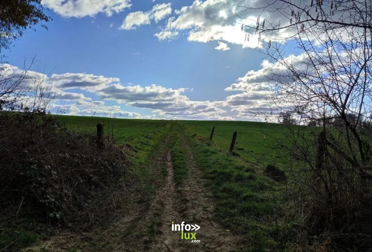 Balade Coutelier des Bois à Gembloux : balade en forêt