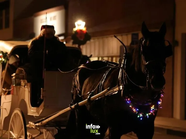 Niederbronn-les-Bains > Noël > Balades en calèche