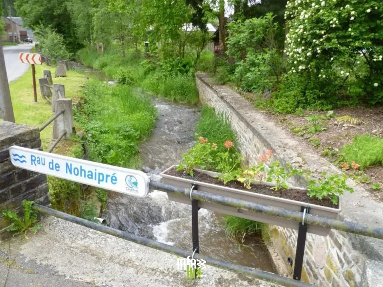 Bois de Hampteau à Hotton : balade en forêt