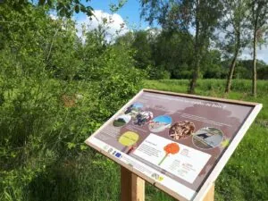 Bois didactique de Gesves : balade en forêt — Gesves Bois didactique de Gesves : balade en forêt — Gesves