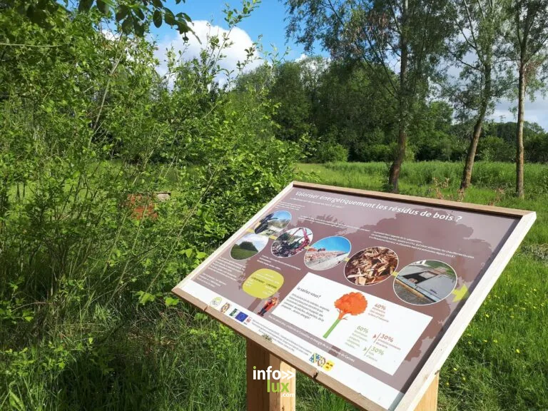 Bois didactique de Gesves : balade en forêt