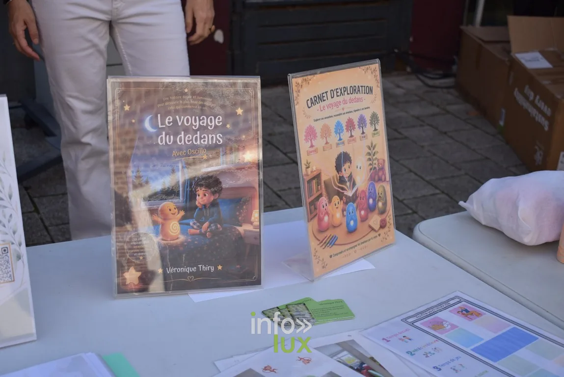Les livres « Le Voyage du Dedans » et son carnet d'exploration exposés