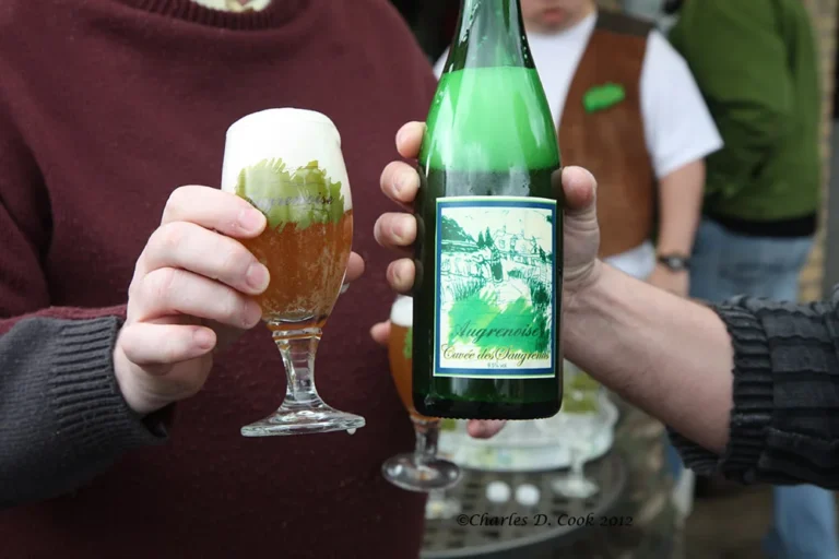 Brasserie Augrenoise à Casteau : la microbrasserie qui brasse avec des adultes en situation de handicap