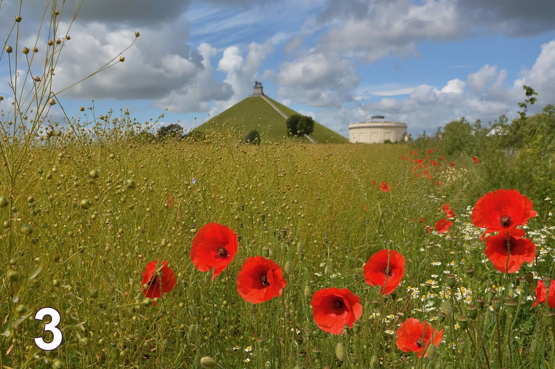La Butte du Lion derrière un champ de coquelicots sous un ciel d’été — photo de Jean-Pierre Defraigne, 3e du vote du public