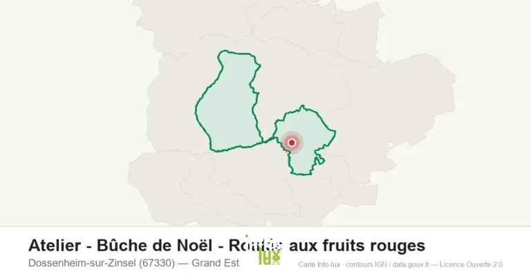 Dossenheim-sur-Zinsel > Noël > Bûche de Noël – Roulée aux fruits rouges