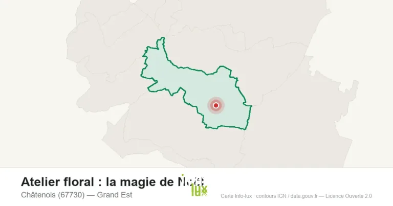 Châtenois > Noël > Atelier floral : la magie de Noël