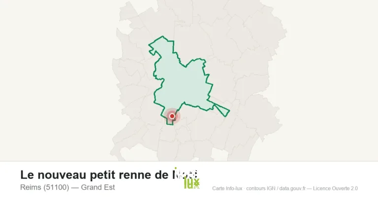 Reims > Noël > Le nouveau petit renne de Noël