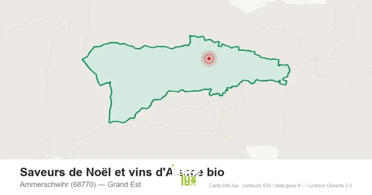 Ammerschwihr > Noël > Saveurs de Noël et vins d’Alsace bio