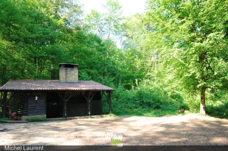 Chalet avec aire de pique-nique et de barbecue “La Bourriqueresse” à Virton : aire de pique-nique couverte avec barbecue