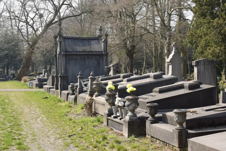Allée et tombes anciennes du cimetière de Robermont à Liège
