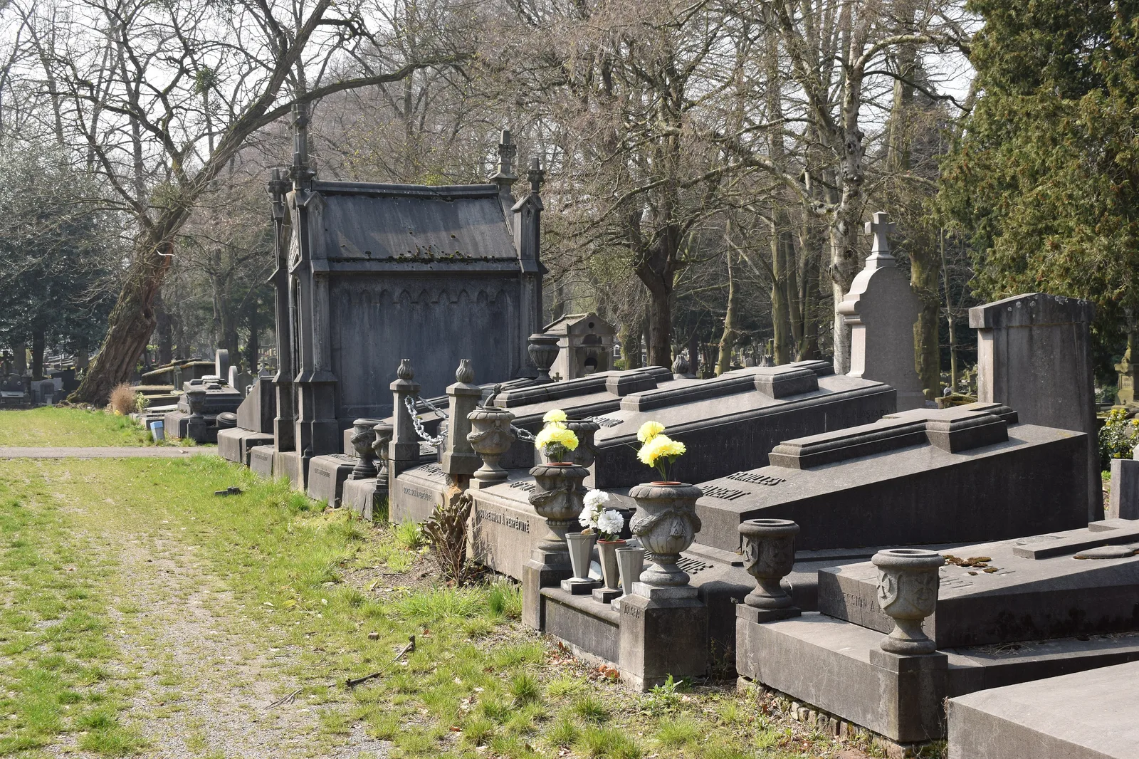 Allée et tombes anciennes du cimetière de Robermont à Liège