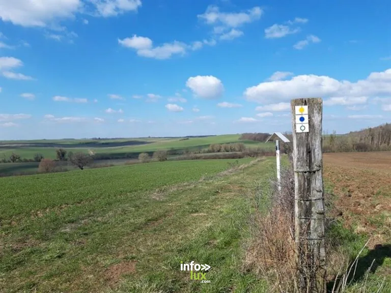 Circuit La voie romaine à Mainvillers : randonnée
