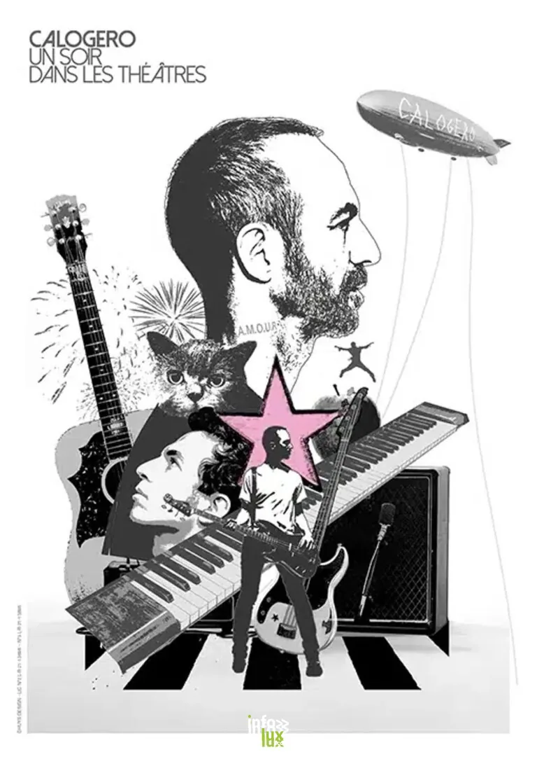Marche-en-Famenne > Concert > Concert: Calogero