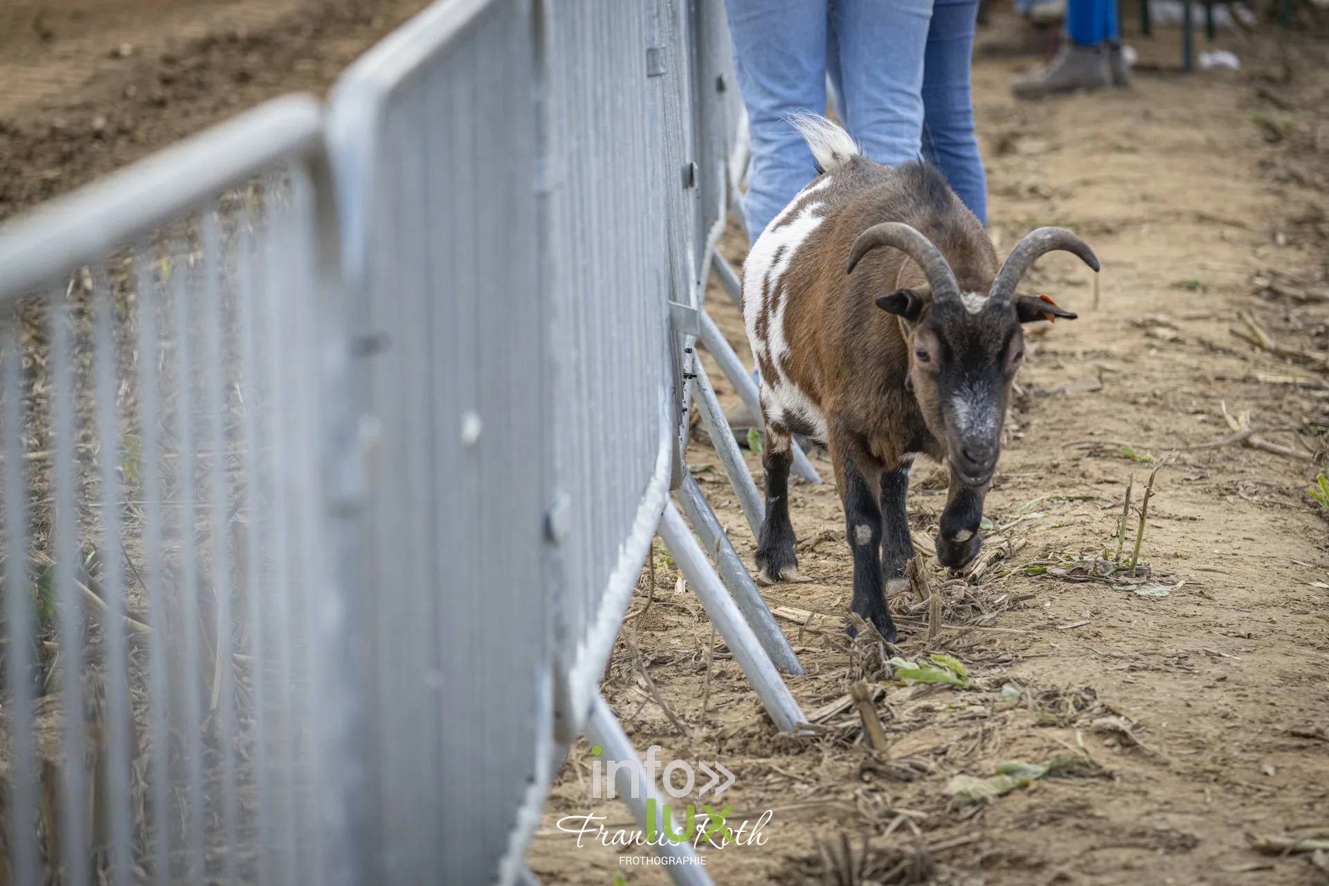 Concours de traction FJA WPJ 2026 à Thorembais-Saint-Trond (Perwez) — Détails de la journée