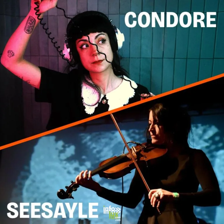 Waremme > Concert > Condore & Seesayle