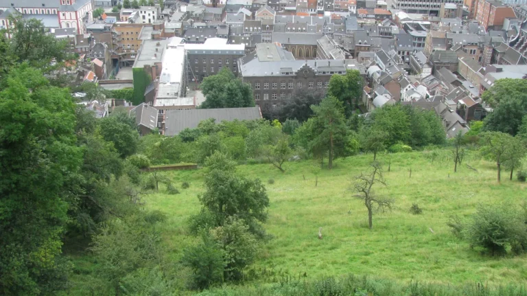 Prairies des coteaux de la Citadelle à Liège, au-dessus des toits de la ville