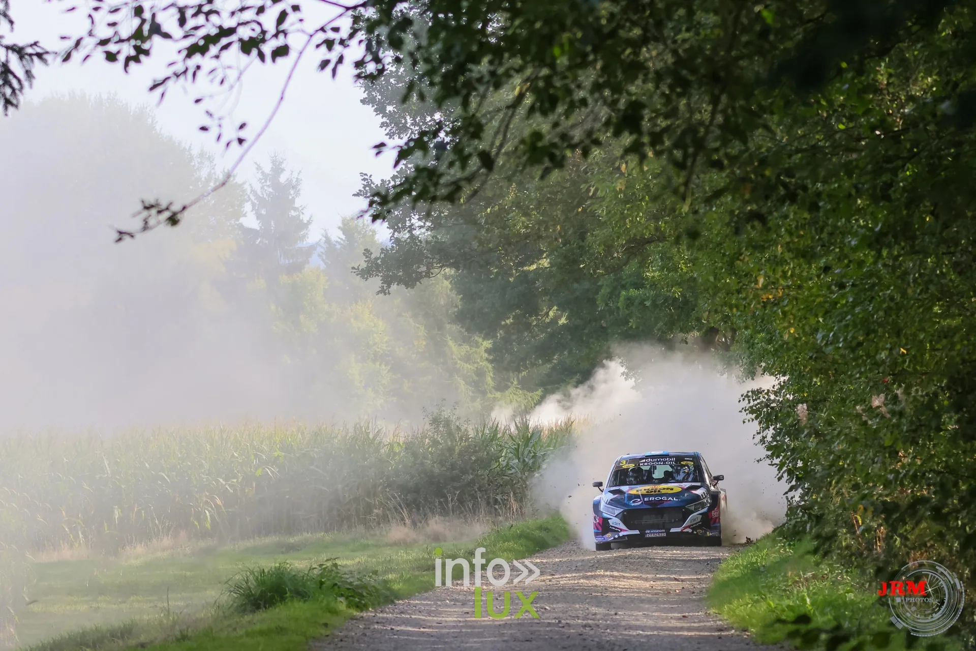 Voiture de rallye dans un tunnel de poussière entre les arbres sur un chemin de terre, East Belgian Rally 2026